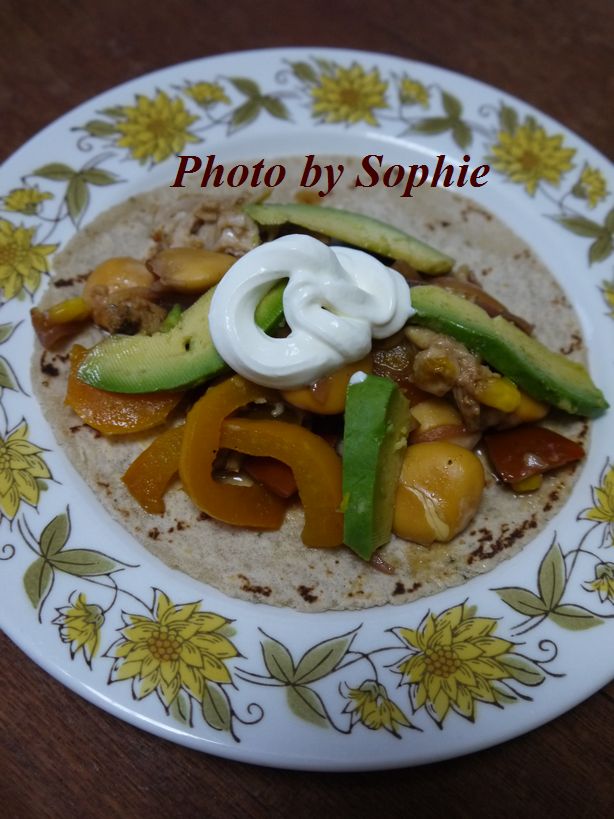 メキシコ料理の種類 サルサやタコス以外にどんな物食べた