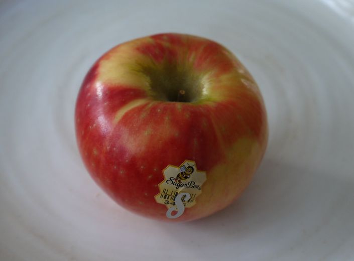 アメリカのりんごの種類。スーパーで買ったもの一挙公開！