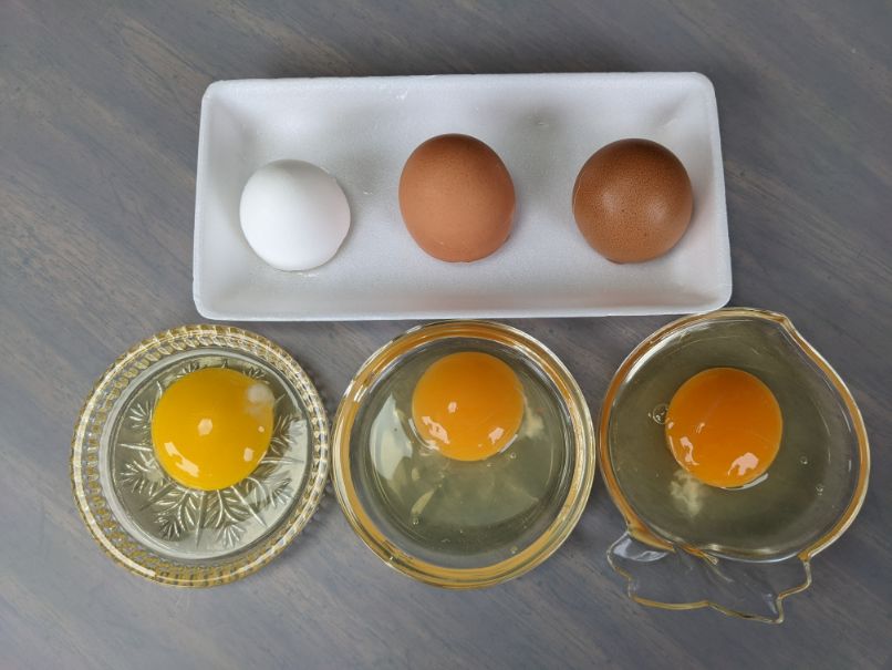 茶色と白の卵の比較（殻付き）