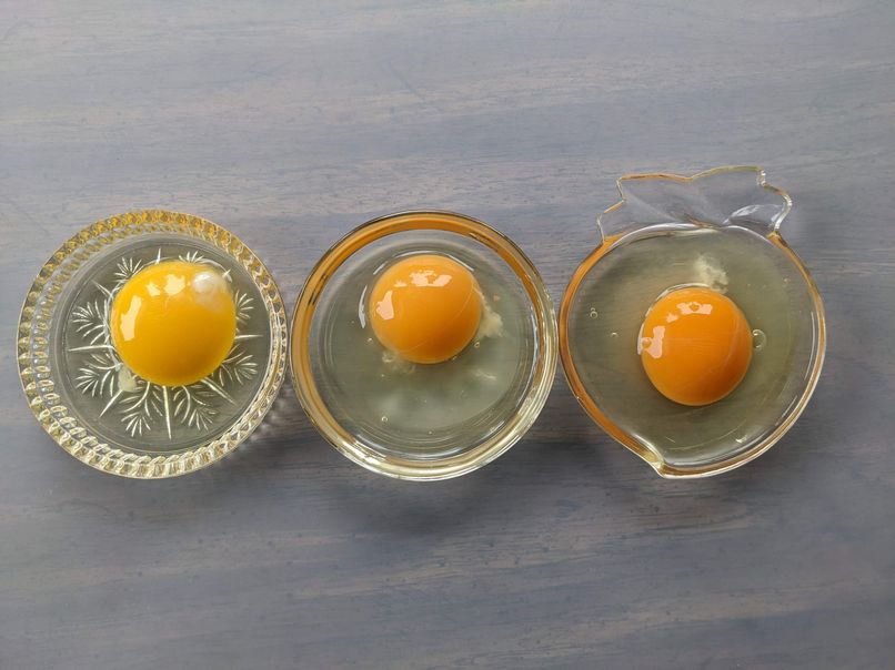 茶色と白の卵の比較