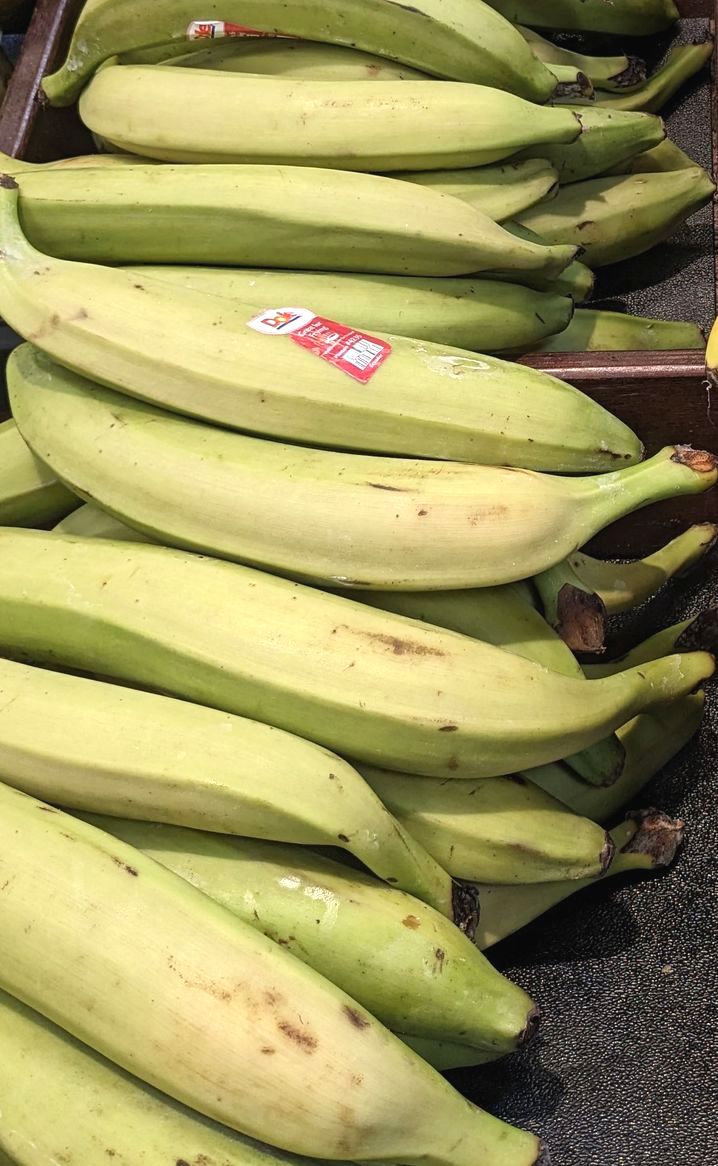 若いバナナ